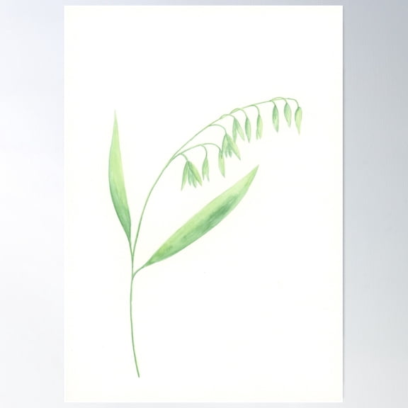 Oats 1 Poster Wall Art, Modern Wall Decor For Living Room Bedroom, 16x24 UNFRAMED