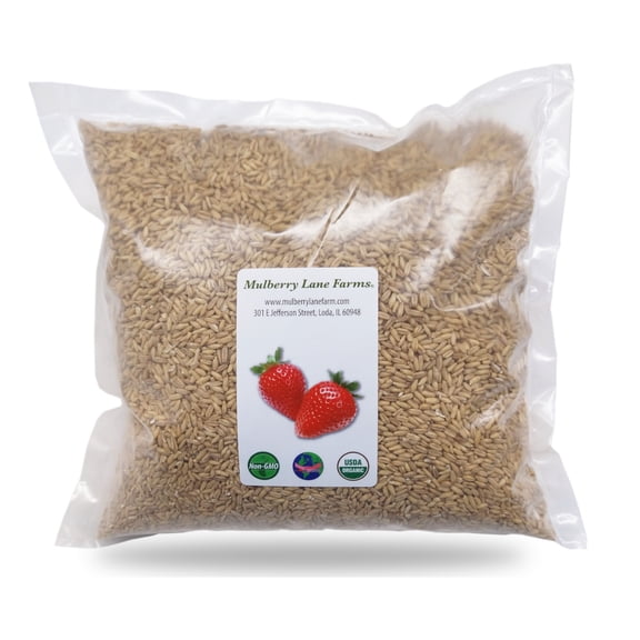 Oats Whole Groats Hulled 10 lbs (Ten Pounds) 100% USDA Certified Organic, Non-GMO, Bulk by Mulberry Lane Farms