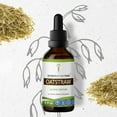 thumbnail image 1 of Secrets Of The Tribe Oatstraw Tincture Dietary Supplement, Natural Herbal Extract for Stress Support, Oatstraw (Avena sativa) Dried Tops, Alcohol Extract, Drops 2 oz, 1 of 5