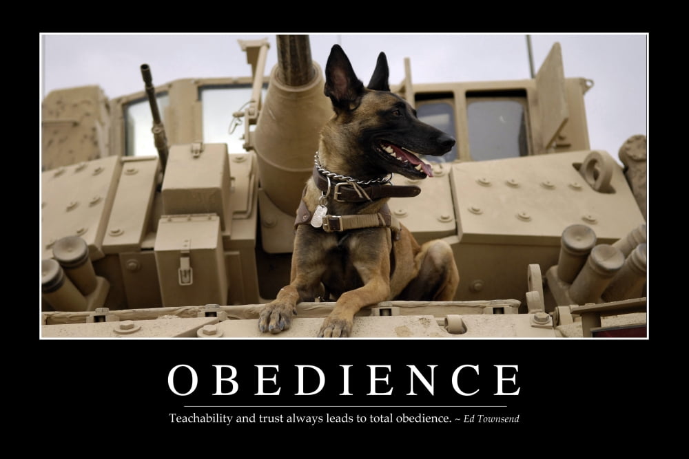 Obedience Inspirational Quote and Motivational Poster Canvas Art - Stocktrek Images (34 x 23)