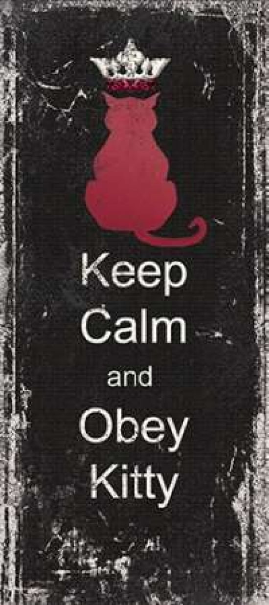 Obey Kitty Canvas Art - Jo Moulton (10 x 20)