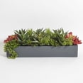 thumbnail image 1 of Rectangular Artificial Succulent Arrangement, Gray Planter, 1 of 5