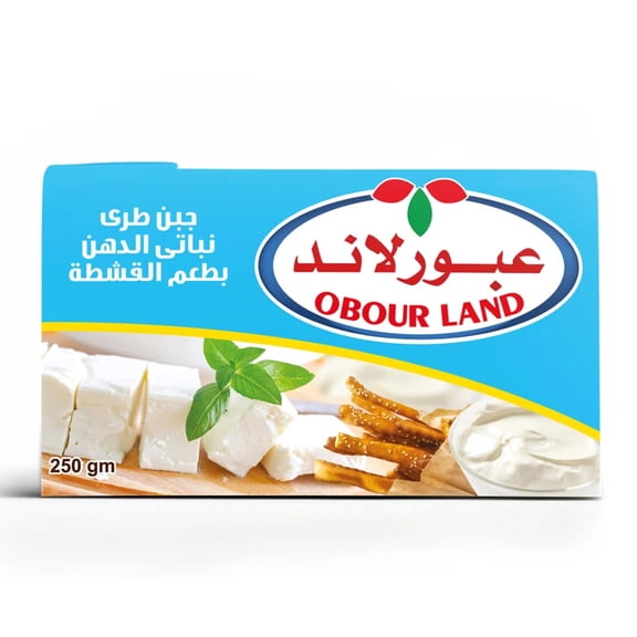 Obour Land Creamy Soft Cheese 250g Cream Flavor for Spreading, Pack 27