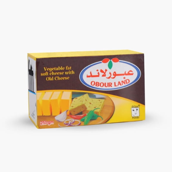 Obour Land Vegetable Fat Soft Cheese with Old Cheese Flavor, 250g Pack, Rich Traditional Taste, Creamy & Spreadable for Authentic Breakfasts and Snacks