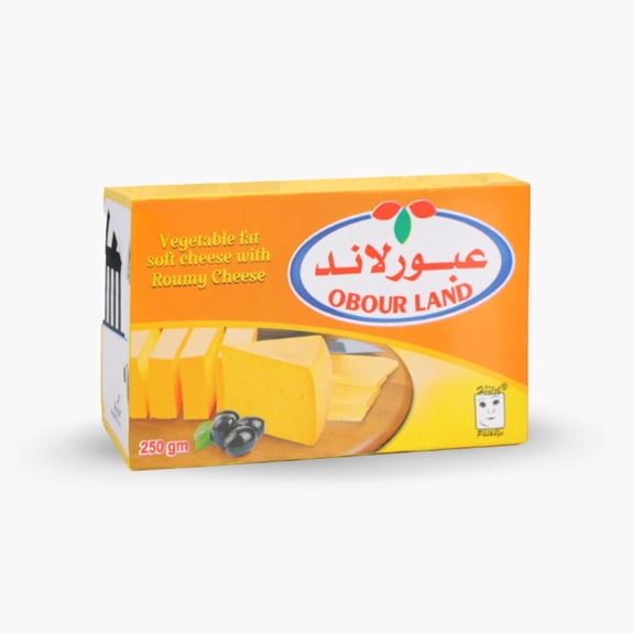 Obour Land Vegetable Fat Soft Cheese with Roumy Cheese Flavor, 250g (8.8oz), Rich and Creamy Cheese Spread