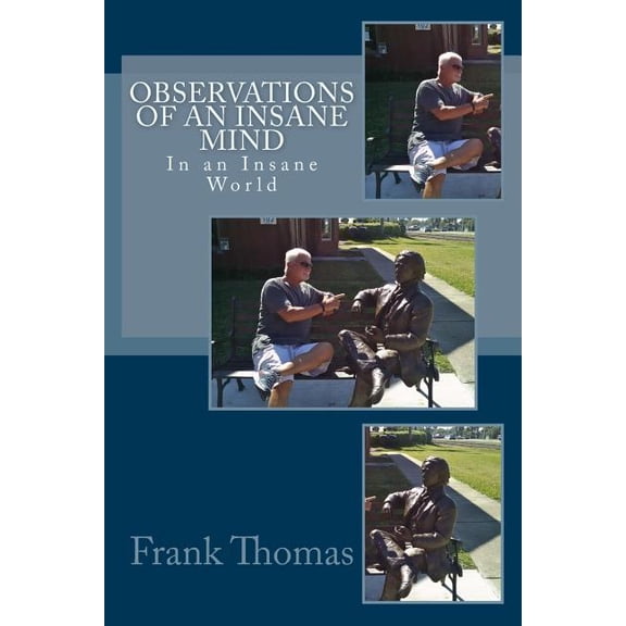 Observations of an Insane Mind, in an Insane World (Paperback)