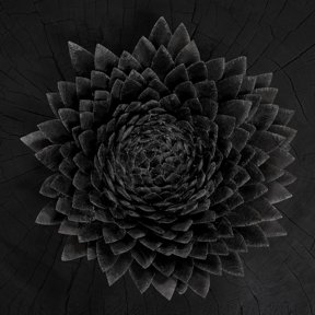 Jnsi Obsidian (Vinyl Record) 12" Album Coloured Vinyl
