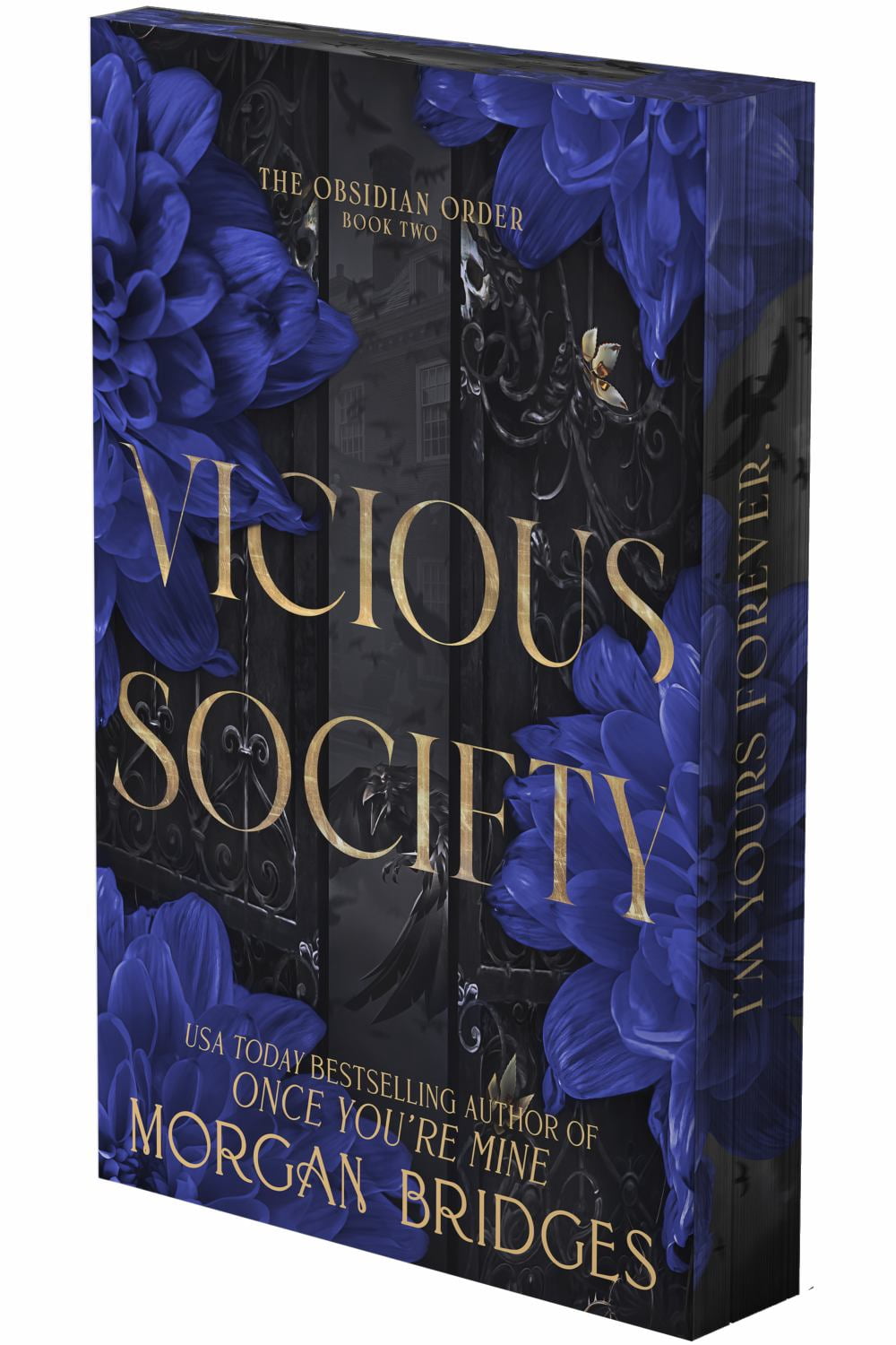 Vicious Society: A Dark Romance (Deluxe Limited Edition