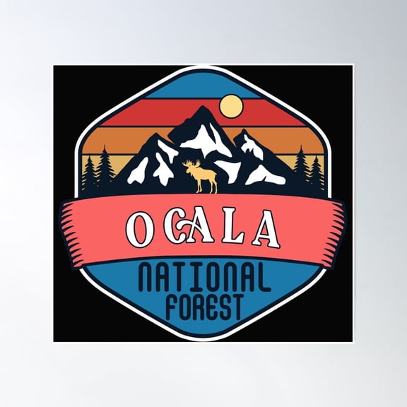 Ocala National Forest Poster Wall Art, Modern Wall Decor, 16x16 UNFRAMED
