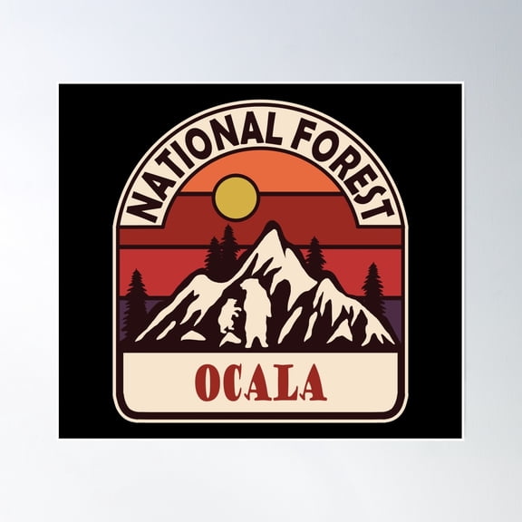 Ocala National Forest Poster Wall Art, Modern Wall Decor, 16x16 UNFRAMED