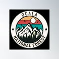 thumbnail image 1 of Ocala National Forest Poster Wall Art, Modern Wall Decor, 30x30 UNFRAMED, 1 of 3