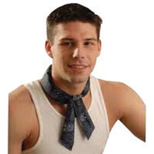 Occunomix 940-RFB Mira Cool Bandana rafraîchissant pour le cou, bleu réfléchissant