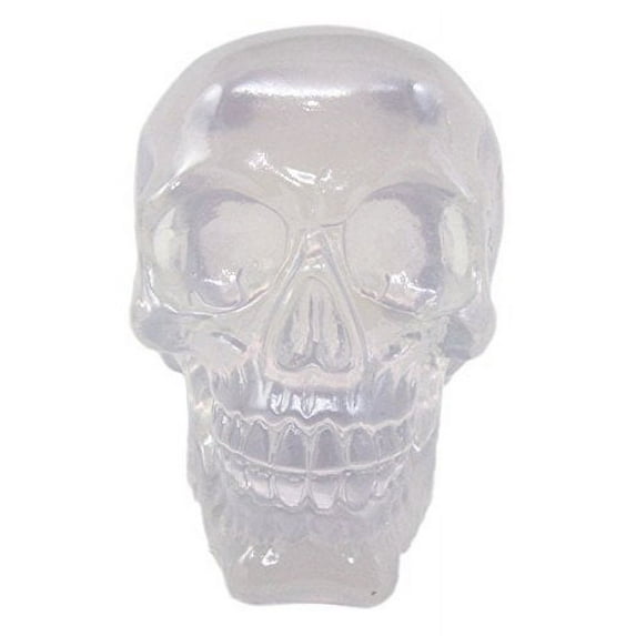 Occult Witchcraft Shrine Clear Acrylic Resin Translucent Skull Figurine 6"L
