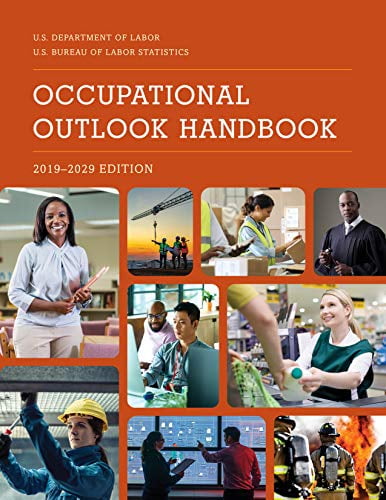 Pre-Owned Occupational Outlook Handbook, 2019-2029 Paperback