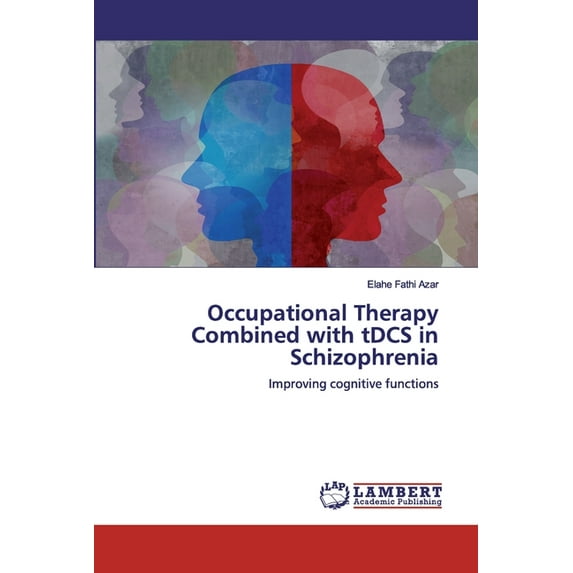 Occupational Therapy Combined with tDCS in Schizophrenia (Paperback)