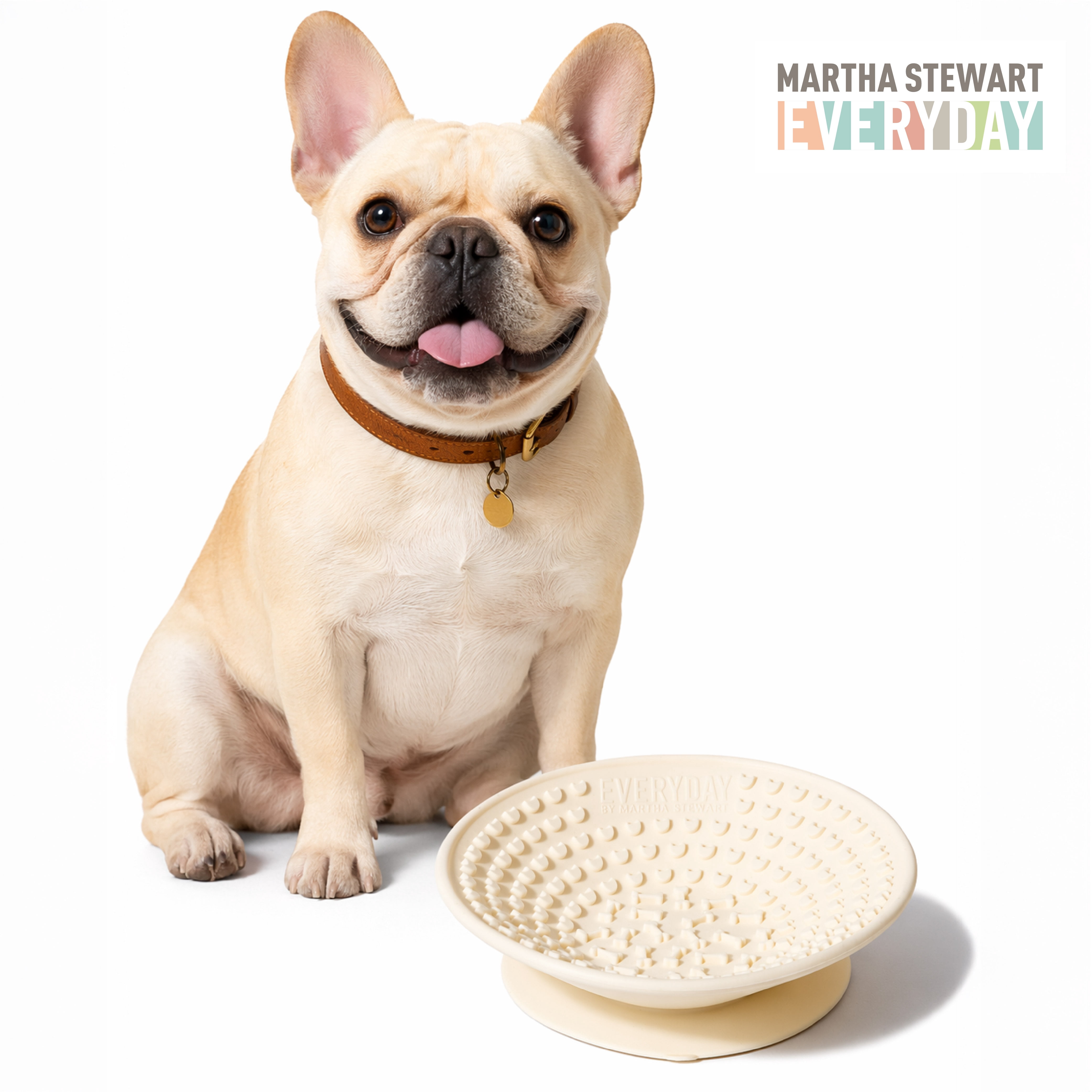 Martha Stewart Occupy Lick Bowl for Cats - Cream - Slow Feeder - Suction Bottom