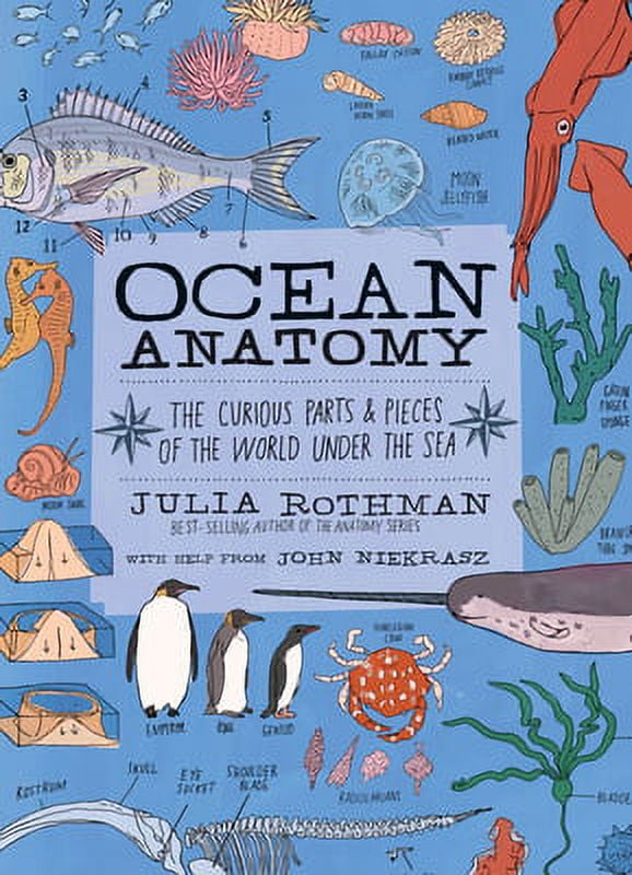 Pre-Owned Ocean Anatomy: The Curious Parts & Pieces of the World Under the Sea (Paperback 9781635861600) by Julia Rothman, John Niekrasz