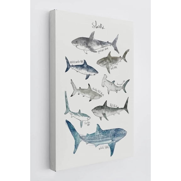 Ocean Animal Watercolor Sharks Educational Chart Wall Art Canvas Farmhouse Shark Theme Prints Decor For Home Bedroom Living Room Classroom Library Dorm,Gift For Kids Students Classmates
