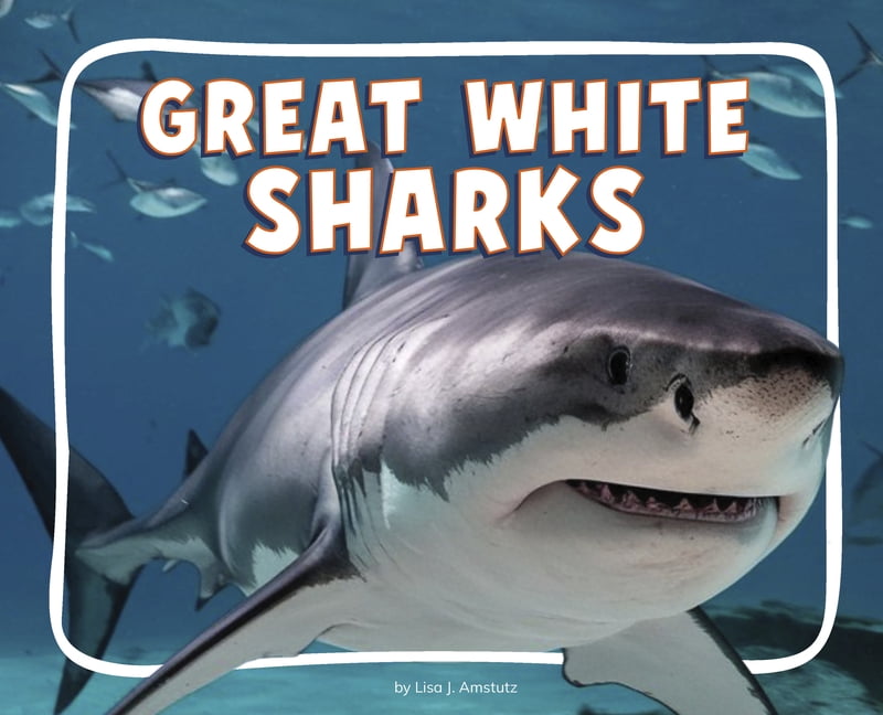 Knowledge Builders: Ocean Animals Great White Sharks, (Paperback)