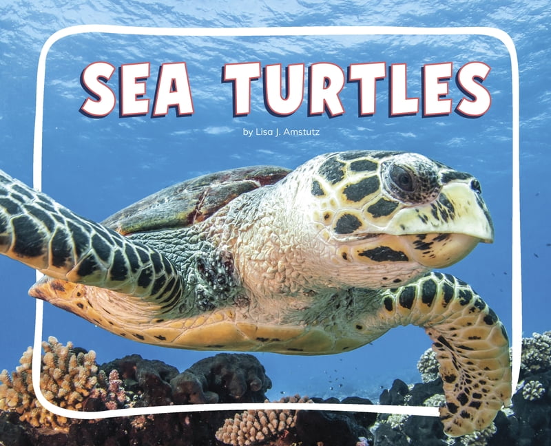 Knowledge Builders: Ocean Animals Sea Turtles, (Hardcover)