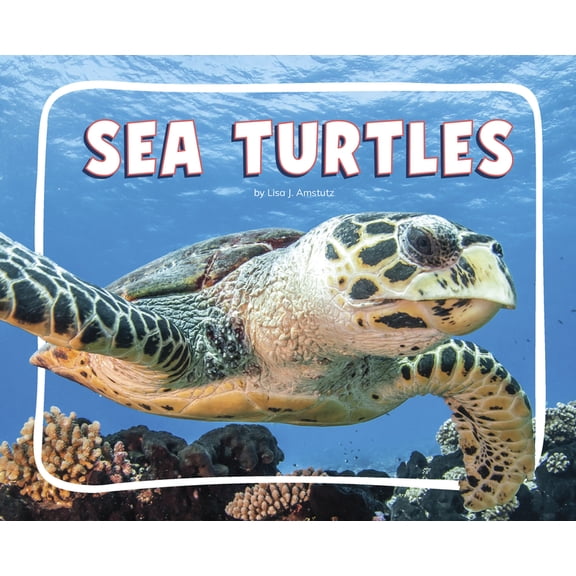 Knowledge Builders: Ocean Animals Sea Turtles, (Paperback)