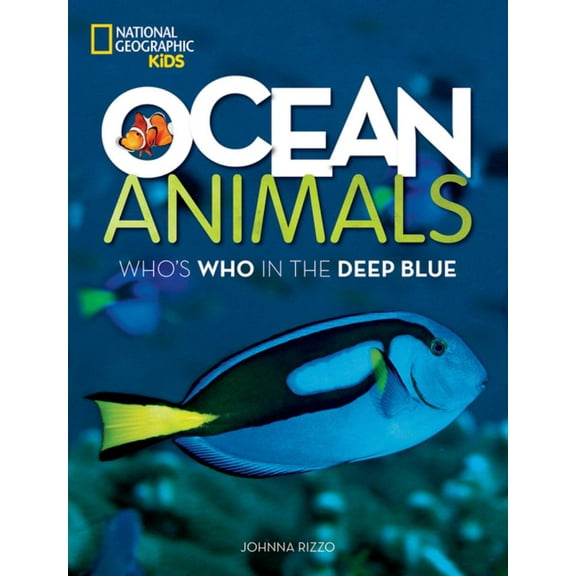 Johnna Rizzo: Ocean Animals: Who's Who in the Deep Blue (Paperback)