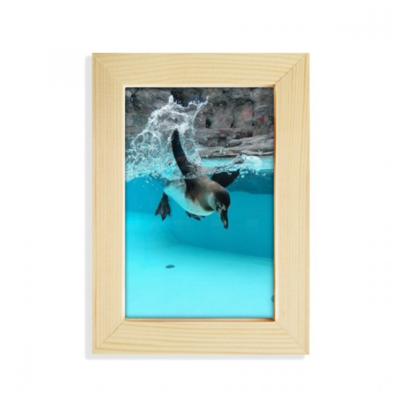 Ocean Antarctic Penguin Science Nature Picture Desktop Display Photo Frame Picture Art Painting 5x7 inch