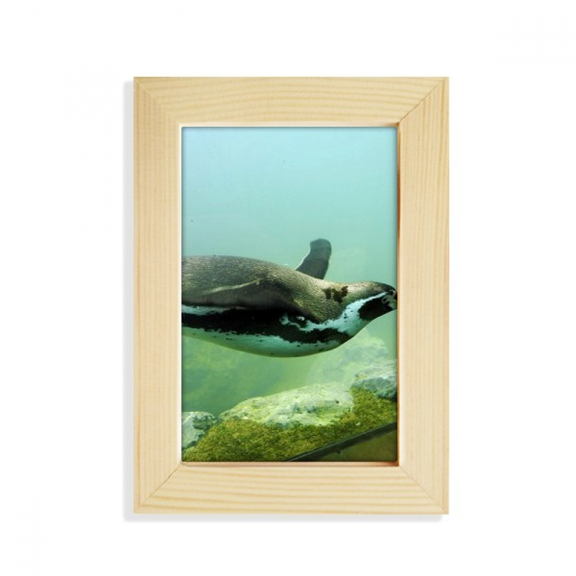Ocean Antarctic Penguin Science Nature Picture Desktop Display Photo Frame Picture Art Painting 5x7 inch