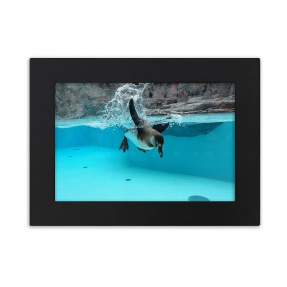 Ocean Antarctic Penguin Science Nature Picture Desktop Photo Frame Ornaments Picture Art Painting