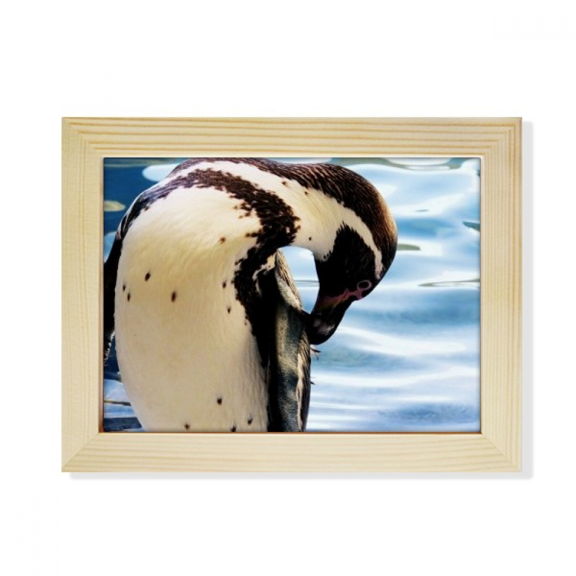 Ocean Antarctic Penguin Science Nature Picture Desktop Photo Frame Picture Art Decoration Painting 6x8 inch