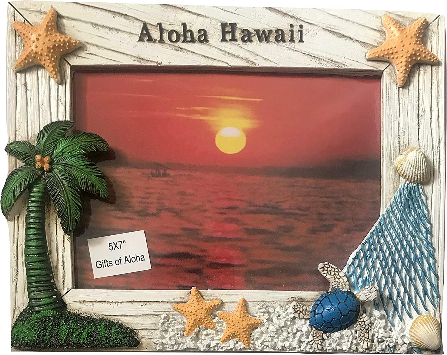 Ocean Beach Look Turtle Design 5