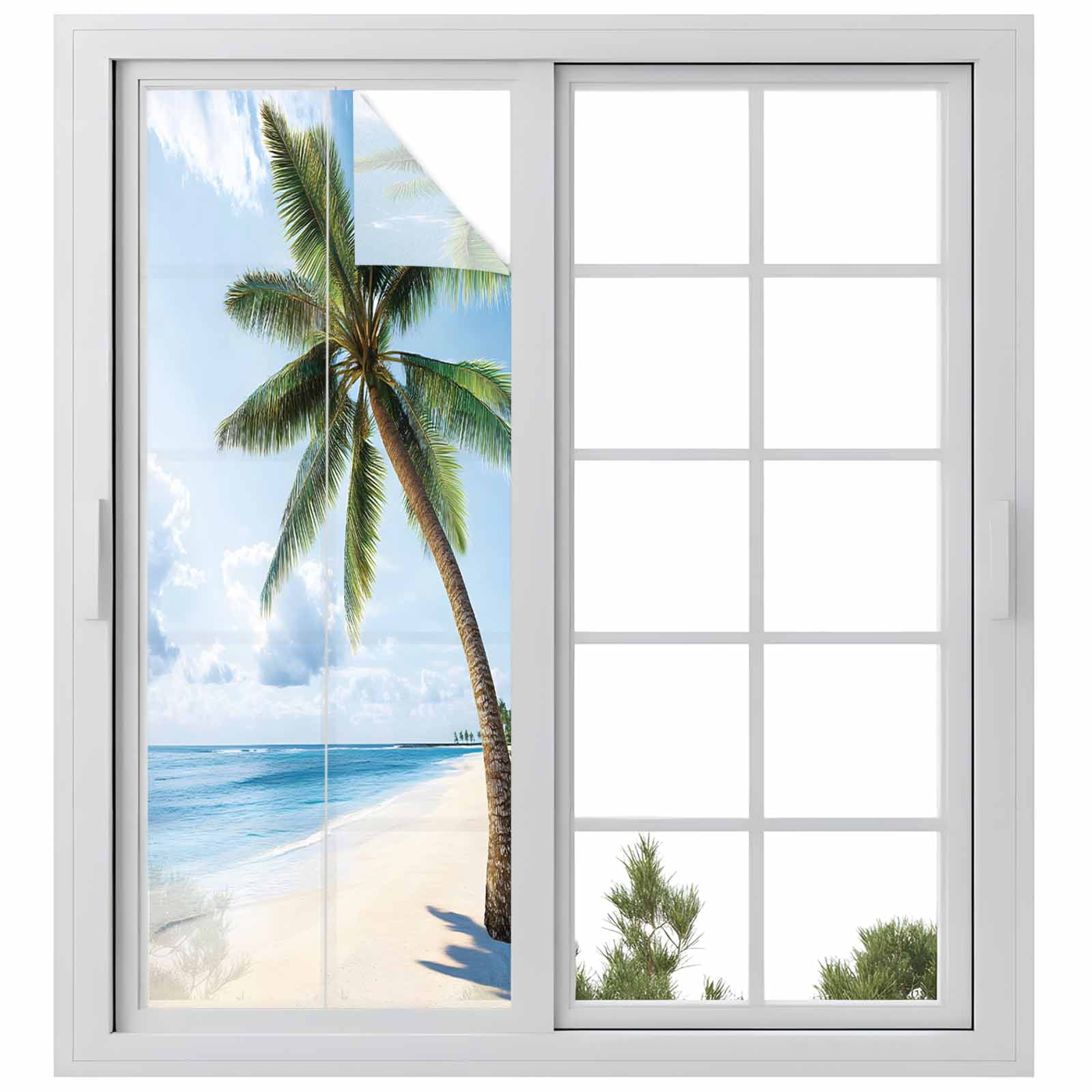 Ocean Beach Window Privacy Film, Coconut Tree Blue Sky Frosted Glass Window Clings Static Cling UV Heat Blocking Reusable Door Sticker for Bathroom 23.6 x 59 Inch