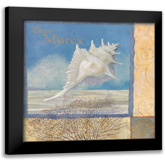 Ocean Beauties I 12x12 Black Modern Framed Museum Art Print Titled - Art Licensing Studio