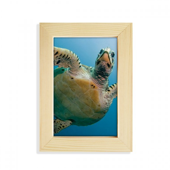 Ocean Blue Water Turtle Science Nature Picture Desktop Display Photo Frame Picture Art Painting 5x7 inch