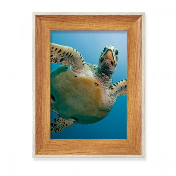 Ocean Blue Water Turtle Science Nature Picture Desktop Wooden Photo Frame Display Picture Art Painting Multiple Sets