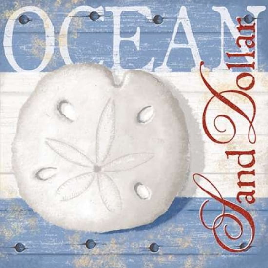 Ocean Canvas Art - Kathy Middlebrook (24 x 24)