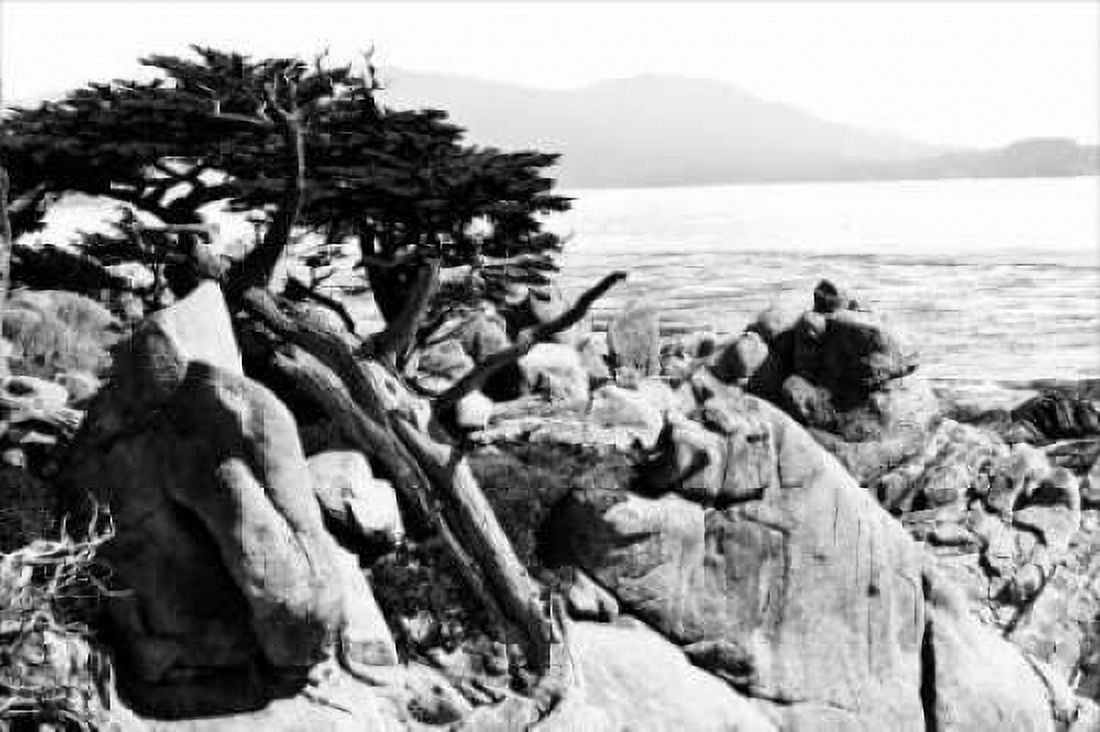 Ocean Cliff II Canvas Art - Alan Hausenflock (24 x 36)