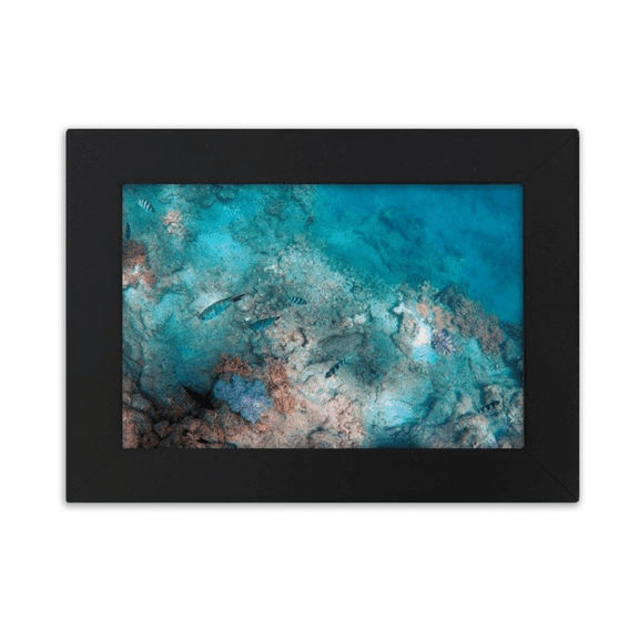 Ocean Colorful Fish Science Nature Picture Desktop Photo Frame Ornaments Picture Art Painting