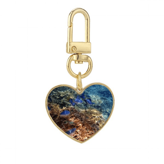 Ocean Colorful Fish Science Nature Picture Gold Heart Keychain Metal Keyring Holder