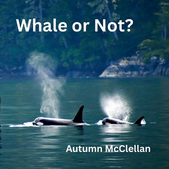 Ocean Creatures Whale or Not?: Ocean Creatures Volume 2, (Paperback)
