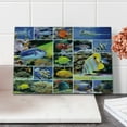 thumbnail image 1 of Ocean Cutting Board, Collage of Underwater Photos with a Group of Tropical Art Fish Oceanic Pattern, Decorative Tempered Glass Cutting and Serving Board, Small Size, Yellow Blue, by Ambesonne, 1 of 1