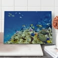 thumbnail image 1 of Ocean Cutting Board, Underwater Life Wilderness Caribbean Ocean Vacation in Tropics Seascape Theme Image, Decorative Tempered Glass Cutting and Serving Board, Large Size, Blue Beige, by Ambesonne, 1 of 1