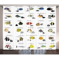 thumbnail image 1 of Ambesonne Fish Curtains 2 Panel Set, Underwater Aquatic Species, 108" x 84", Yellow Blue Black, 1 of 3
