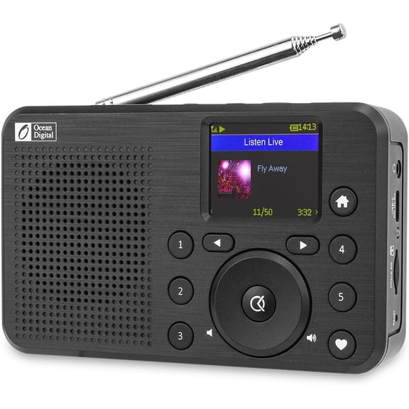 Ocean Digital WR-18 Handheld Portable Internet Radio, FM, Bluetooth Speaker, Micro SD, Rechargeable, 5 Preset Buttons, Dimmer, Auto-Off Timer, Color Display