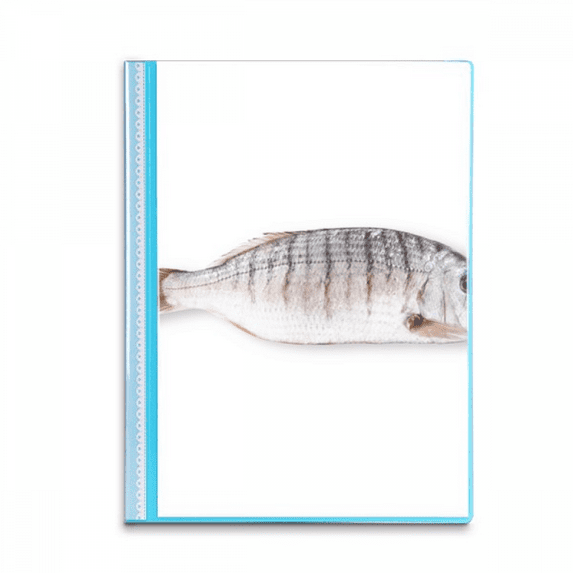 Ocean Fish Activity Curly Book Sheet Protectors Portfolio Binder Folder
