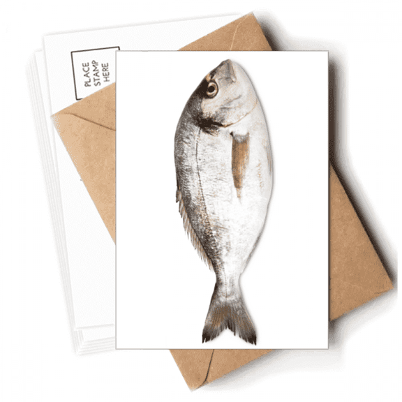 Ocean Fish Activity Food Red Postcards Envelopes Blank Note Cards Mailing
