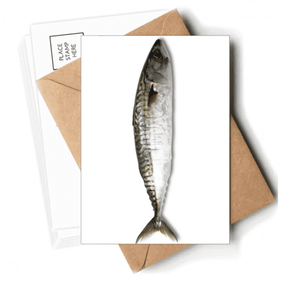 Ocean Fish Activity Long Black Postcards Envelopes Blank Note Cards Mailing