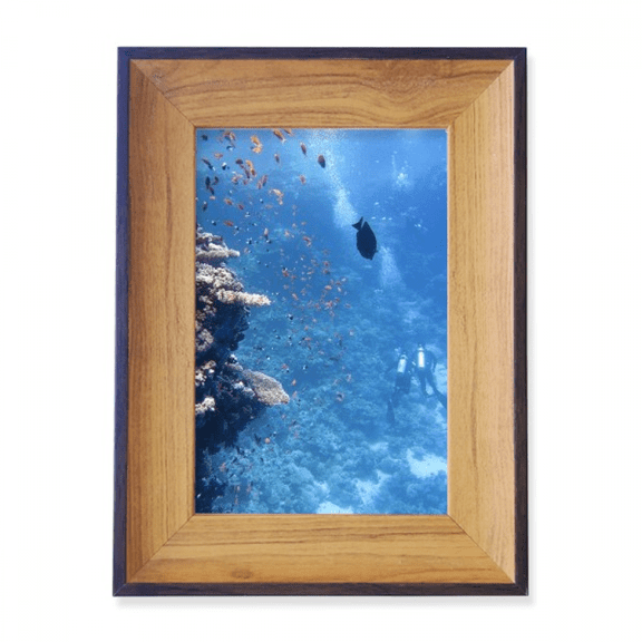 Ocean Fish Diving Science Nature Picture Photo Frame Exhibition Display Art Desktop Painting