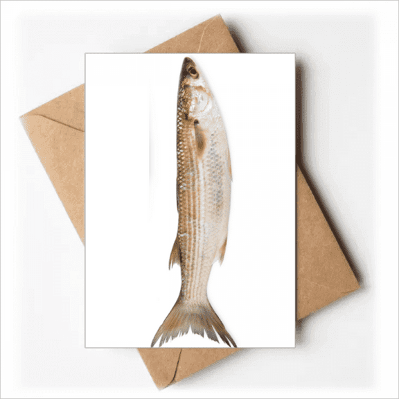 Ocean Fish Fresh Activity Greeting Cards You are Invited Invitations