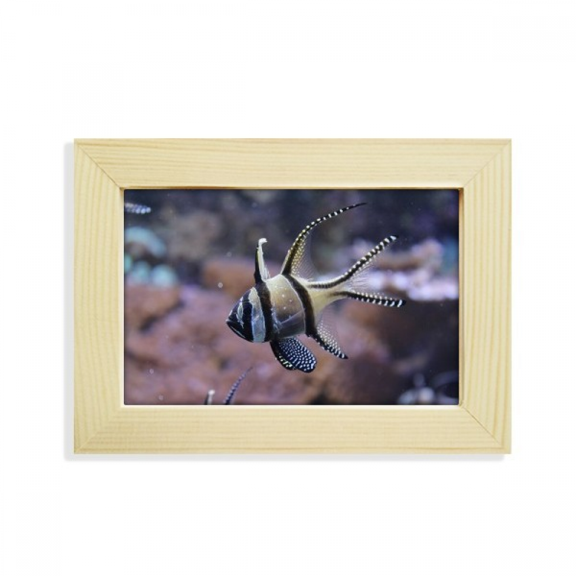 Ocean Fish Science Nature Picture Desktop Decorate Photo Frame Picture Art Painting 5x7 inch
